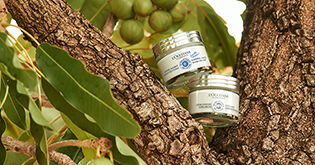 soins visage nutrition