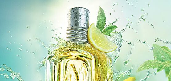 verbena citrus parfum