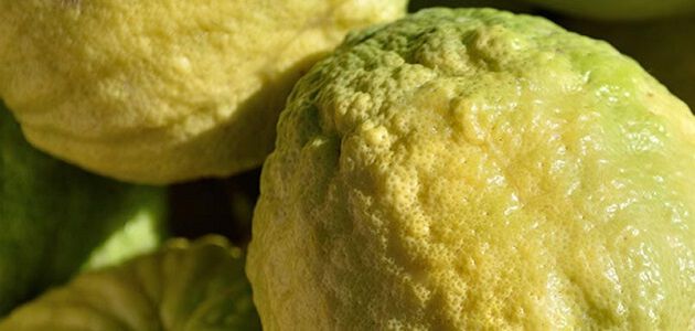 ingredient cedrat
