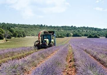 Nos producteurs 