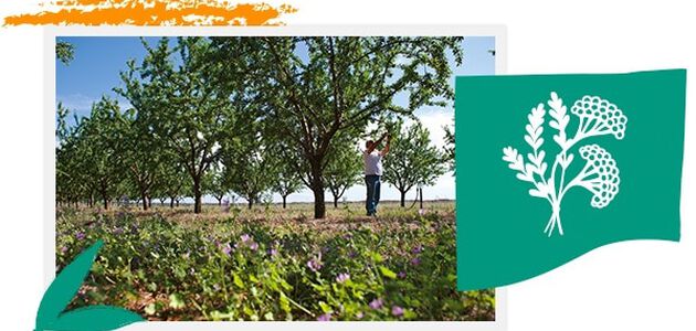 respecter la biodiversit&eacute;