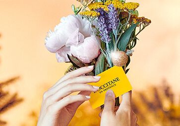Carte cadeau &agrave; offrir