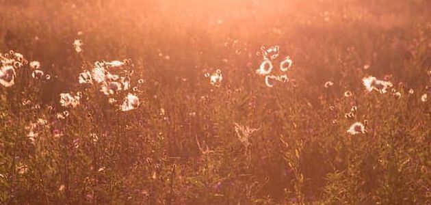 natuurlijke wijze tot rust komen