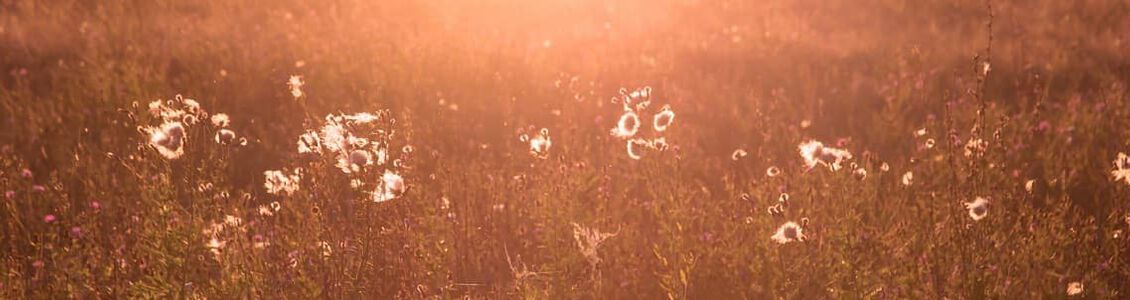 natuurlijke wijze tot rust komen