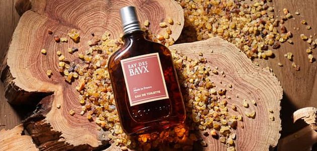 parfum homme automne