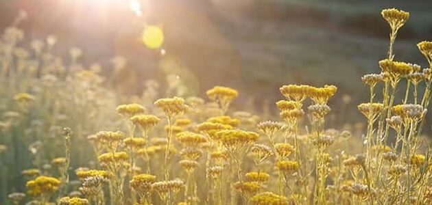 protection spf signification