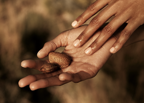 L'un de nos producteurs d'Amandes