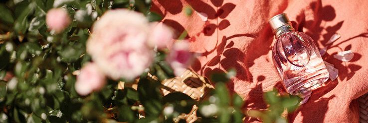 rose collectie