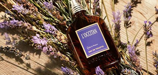 parfum homme hiver