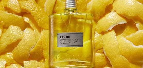 parfum homme printemps