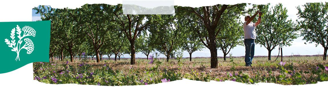 respecter la biodiversit&eacute;