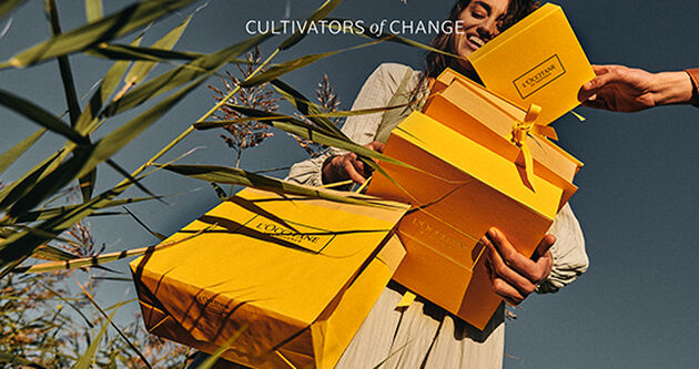 Coffret L'Occitane Au Beurre De Karité - Soins Corps, Mains Et Visage - Neuf
