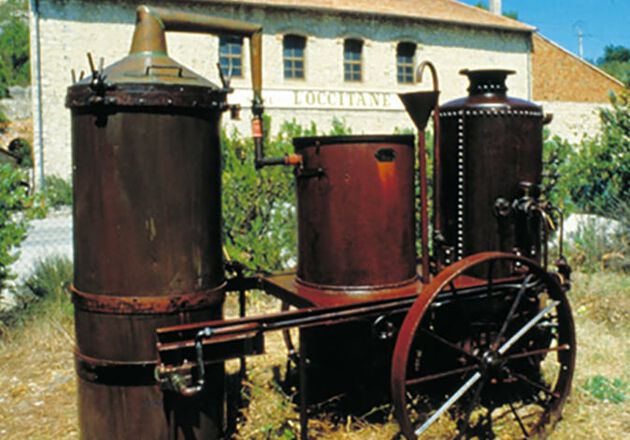 L&rsquo;h&eacute;ritage historique de L'OCCITANE