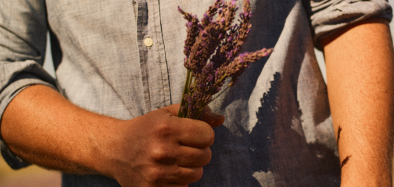 kwekerijen en distillatie van lavendel - LOCCITANE lavendelproducent