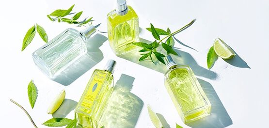 eau de toilette verveine