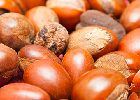 Shea Butter = een schitterend ingredi&euml;nt
