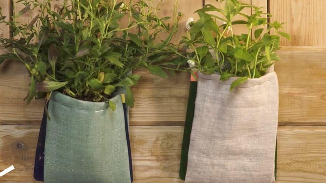 planten