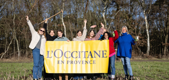 boomplantdag Trees for All 2024