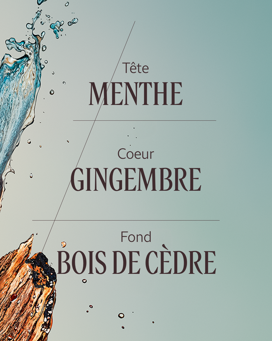 Affichage de l&rsquo;image 4/7 du produit Eau de Toilette C&egrave;dre Gingembre (Cap C&eacute;drat), , RECT