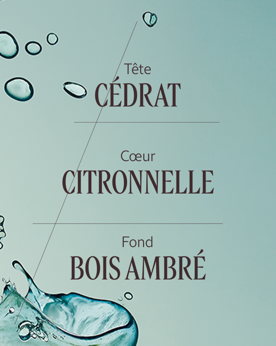 Affichage de l&rsquo;image 4/7 du produit Eau de toilette C&eacute;drat, , RECT