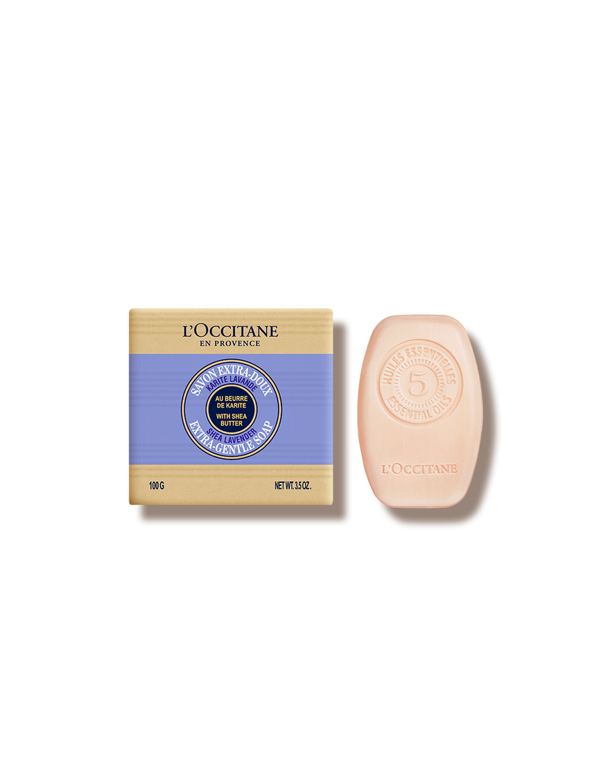 Duo solide Savon Lavande et Shampoing Solide R&eacute;paration | L&rsquo;Occitane en Provence