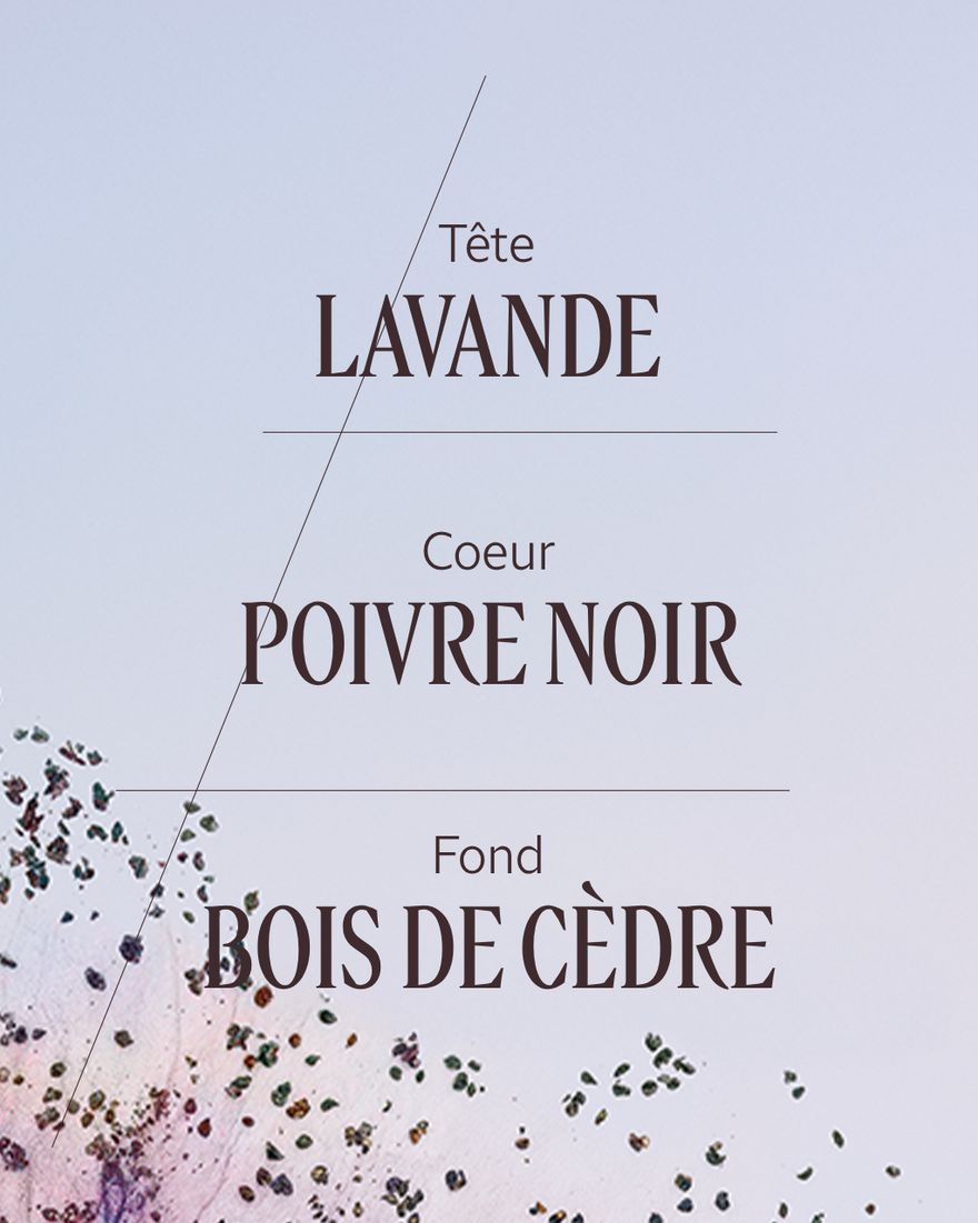 Affichage de l&rsquo;image 4/7 du produit Eau de toilette Lavande Poivre Noir (L'Occitan), , RECT