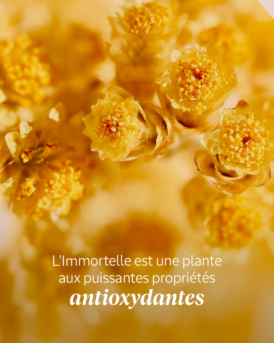 Affichage de l&rsquo;image 3/5 du produit Eau Essentielle Immortelle Pr&eacute;cieuse, , RECT