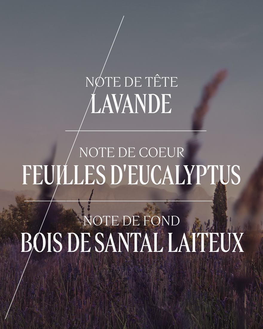 Affichage de l&rsquo;image 5/8 du produit Eau de Toilette Lavande, , RECT