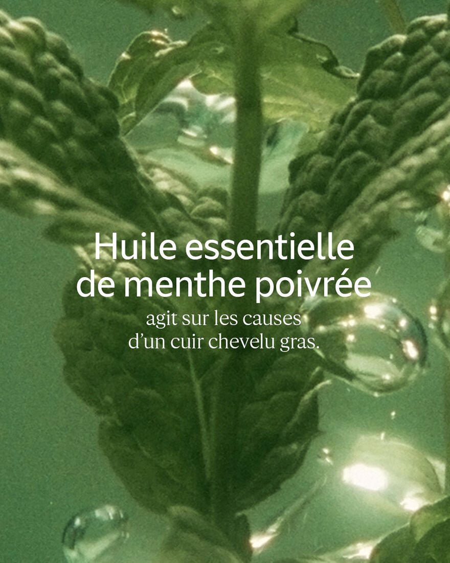 Affichage de l&rsquo;image 6/6 du produit Shampooing Fra&icirc;cheur Purifiante, , RECT
