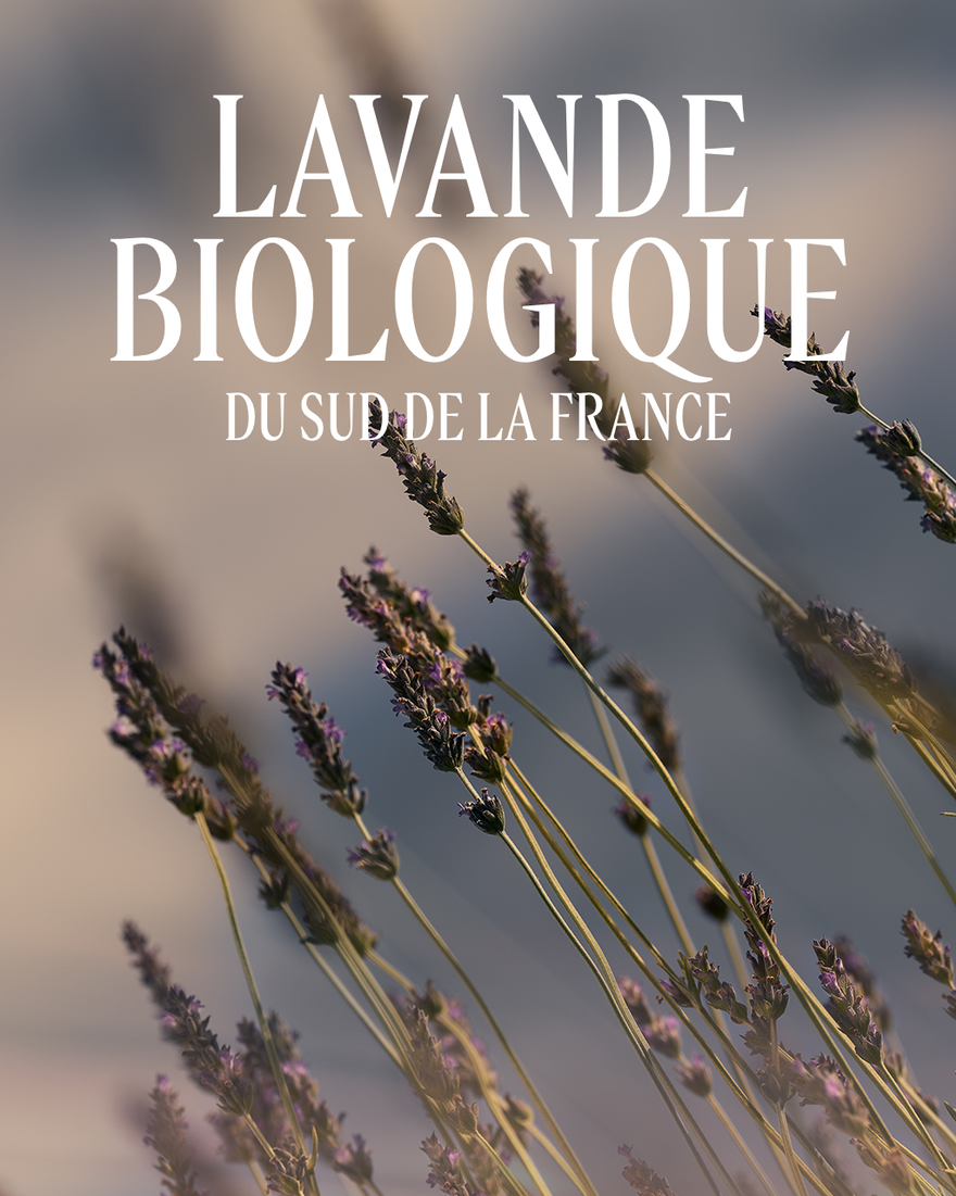 Affichage de l&rsquo;image 4/6 du produit Roll-on parfum&eacute; Lavande, , RECT