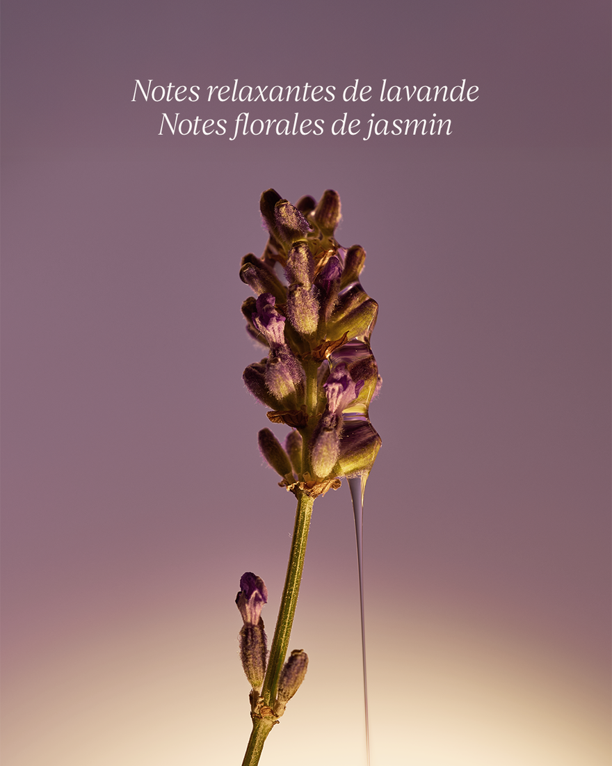Affichage de l&rsquo;image 6/7 du produit Recharge Savon Liquide Mains Lavande, , RECT