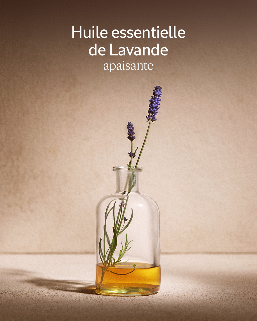 Affichage de l&rsquo;image 5/6 du produit Shampooing &Eacute;quilibre & Douceur, , RECT