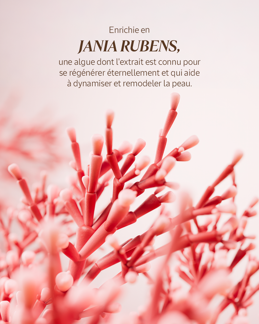 Affichage de l&rsquo;image 4/8 du produit Cr&egrave;me jeunesse d'exception Immortelle Harmonie, , RECT