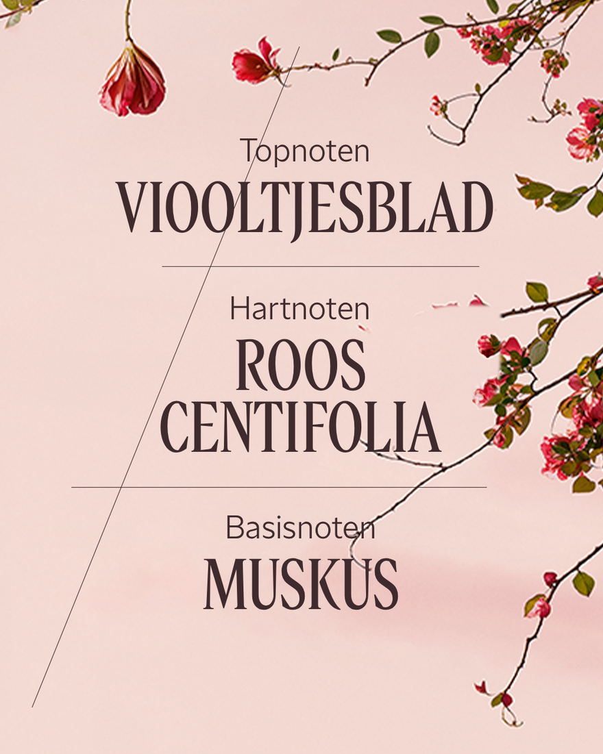 Weergave afbeelding 4/7 van product Rose Eau de Toilette, , RECT
