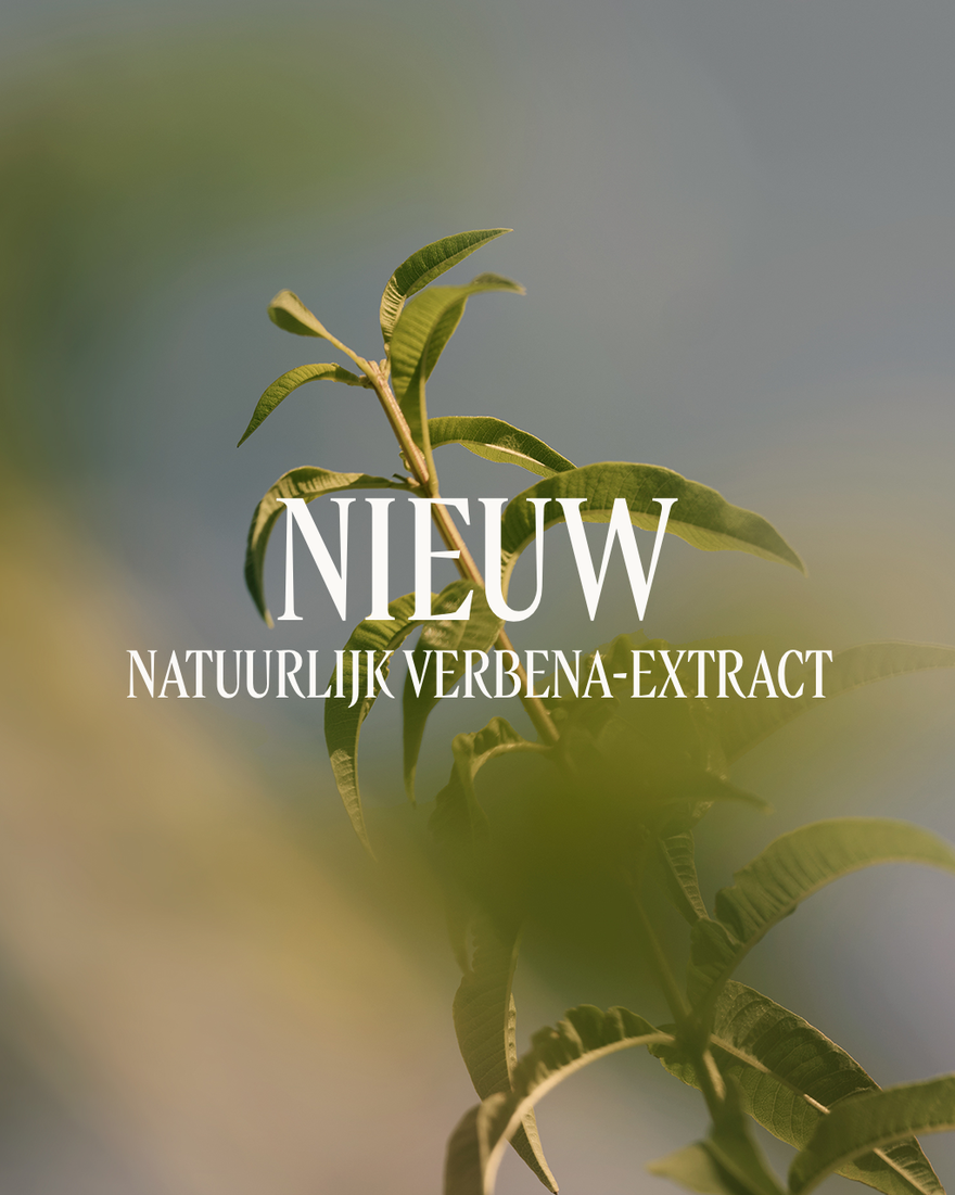Weergave afbeelding 5/5 van product Verveine Geurkaars, , RECT