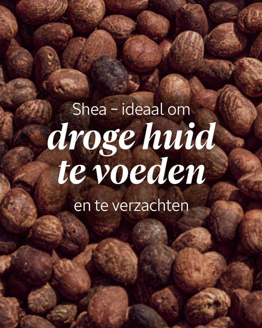 Weergave afbeelding 6/9 van product Shea Ultrarijke Comfort Cr&egrave;me, , RECT
