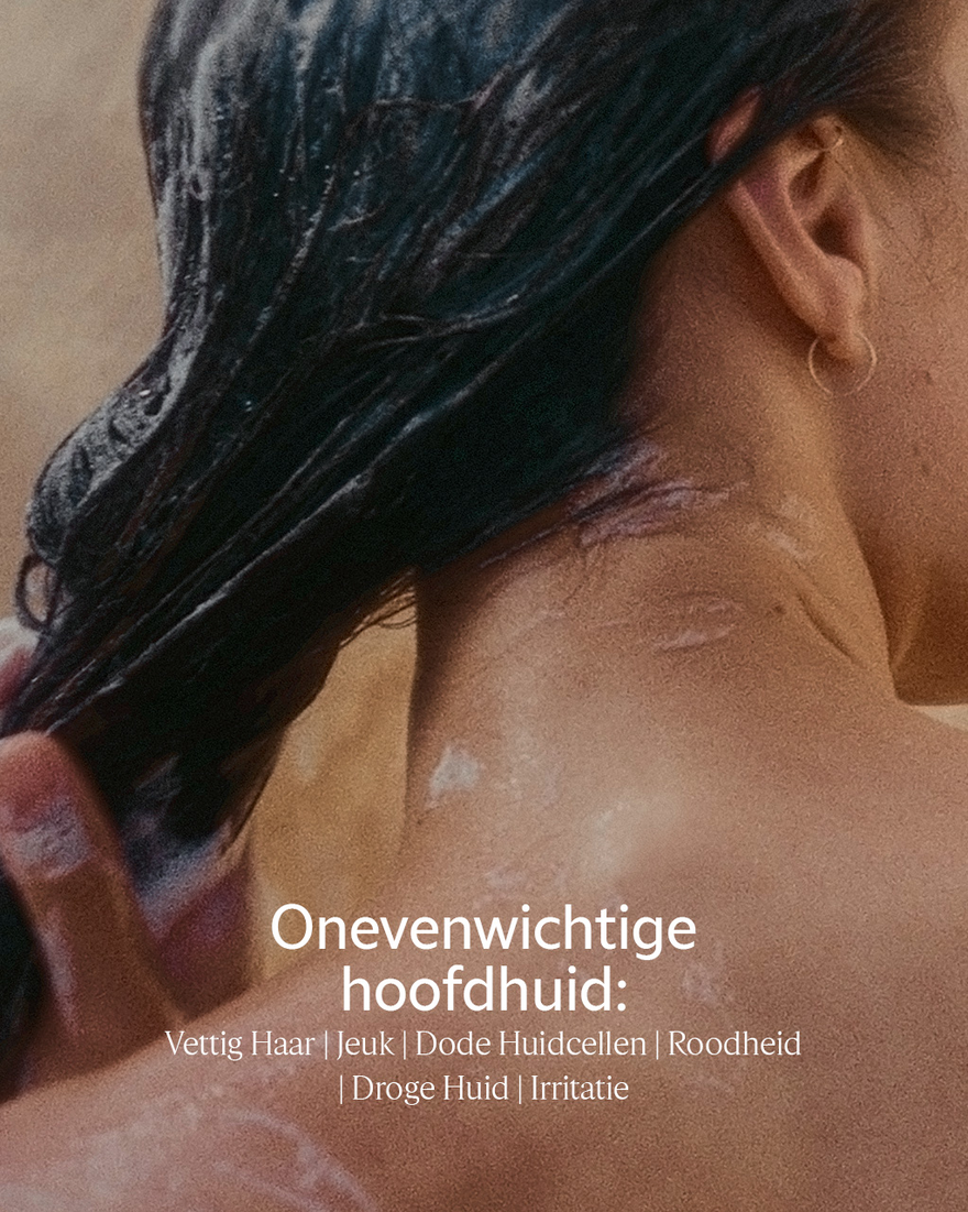 Weergave afbeelding 4/6 van product Aromachology Gentle & Balanced Shampoo, , RECT