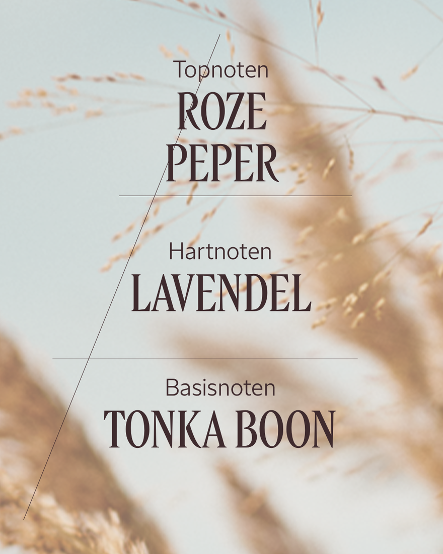 Weergave afbeelding 3/5 van product Terre de Lumi&egrave;re Eau de Toilette, , RECT