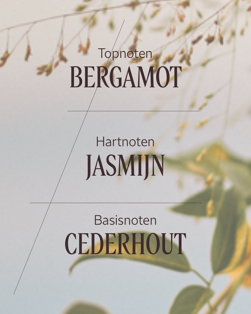 Weergave afbeelding 4/6 van product Jasmin & Bergamot Eau de Toilette, , RECT