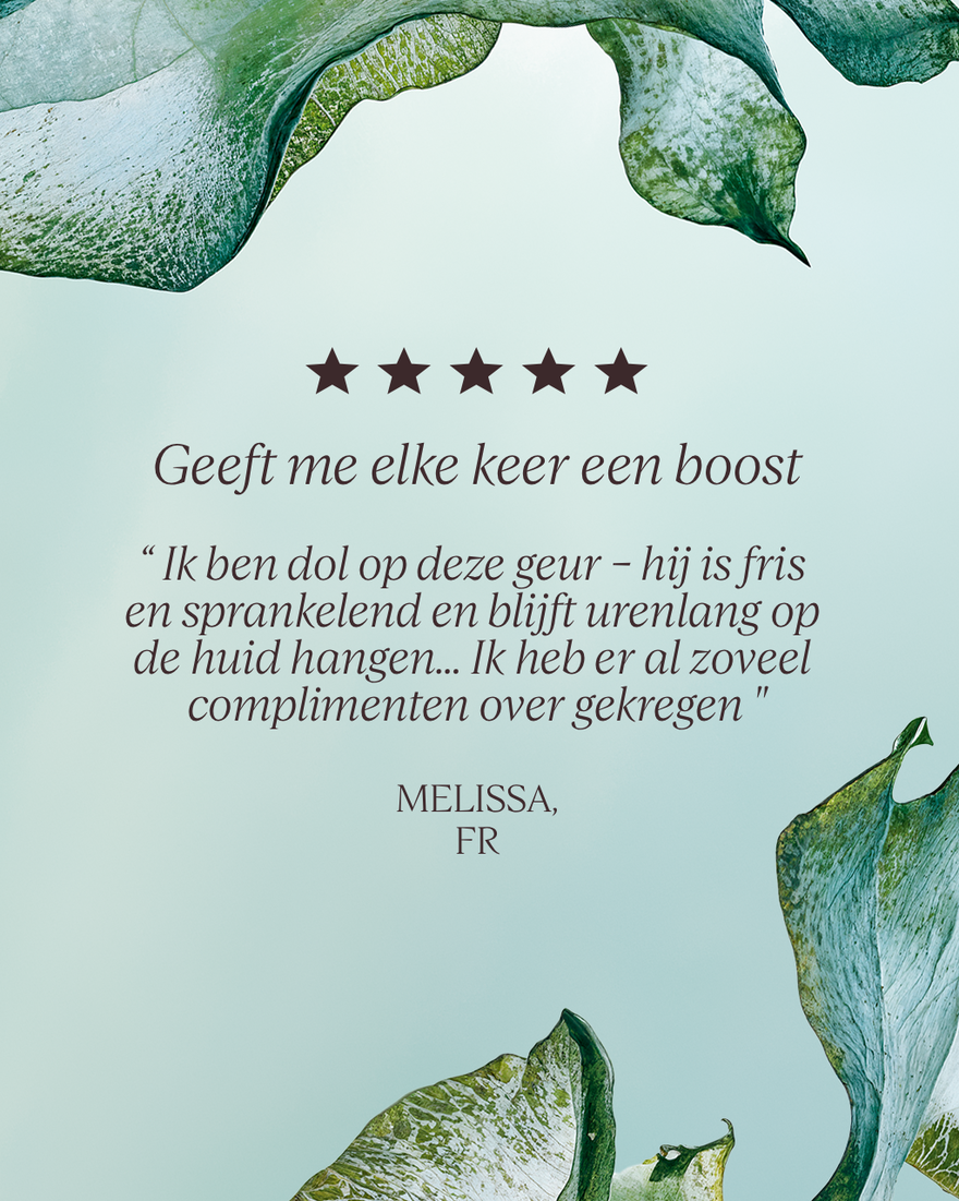 Weergave afbeelding 5/7 van product Ortie Blanche Eau de Parfum, , RECT