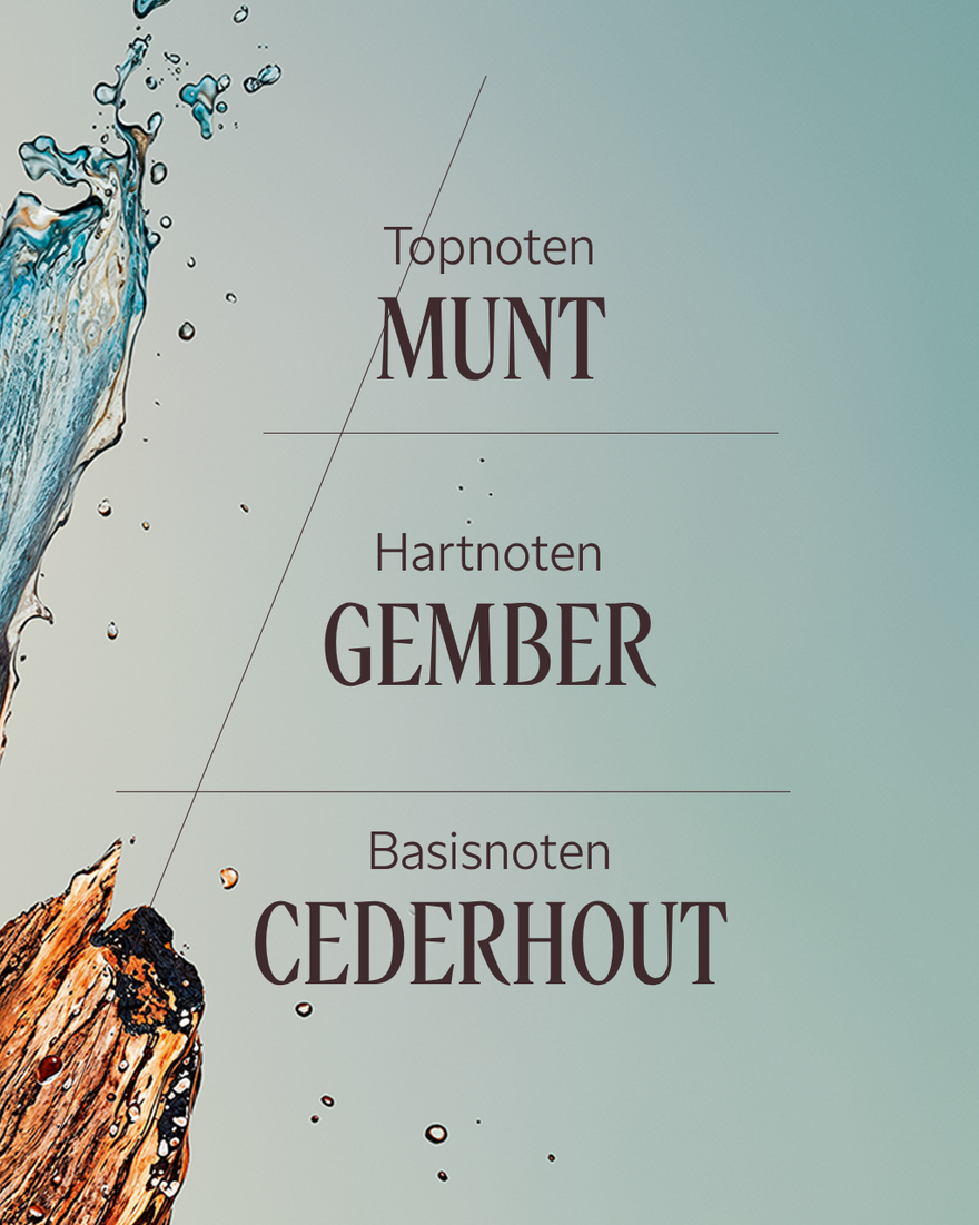 Weergave afbeelding 4/7 van product C&egrave;dre Gingembre Eau de Toilette, , RECT