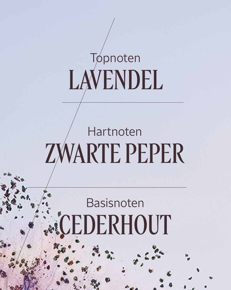 Weergave afbeelding 4/7 van product Lavande Poivre Noir (L'Occitan) Eau de Toilette, , RECT