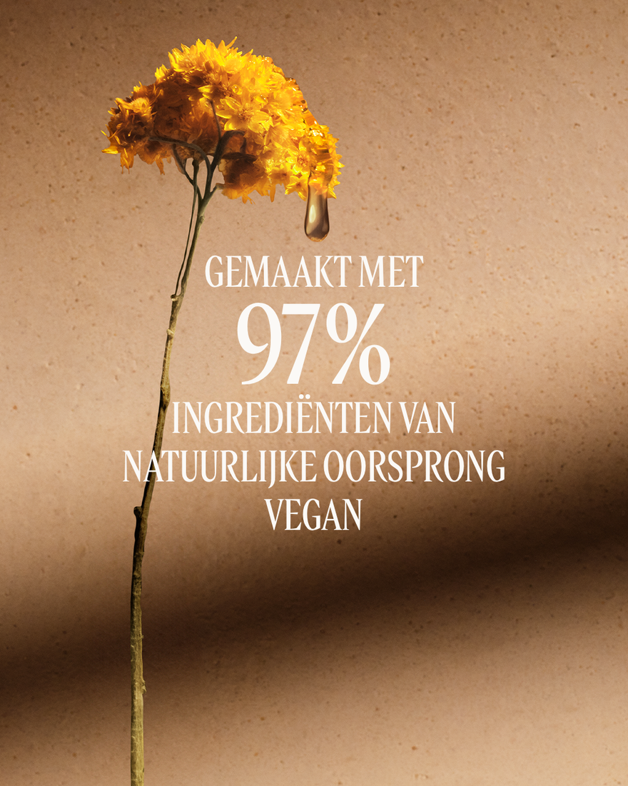 Weergave afbeelding 5/10 van product Immortelle Divine Verjongende Lichaamsbalsem Refill, , RECT