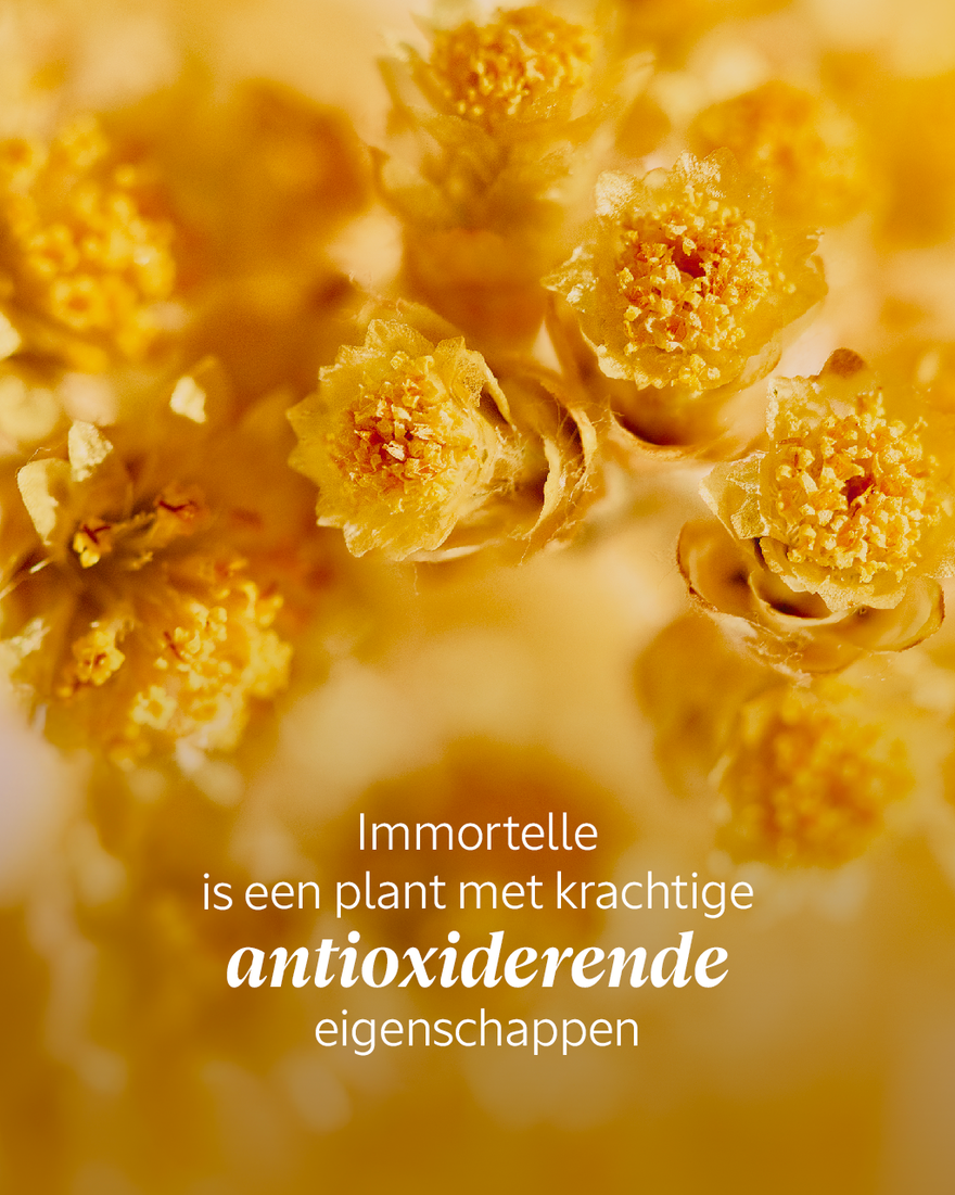 Weergave afbeelding 3/7 van product Immortelle Precious Verrijkte Emulsie, , RECT