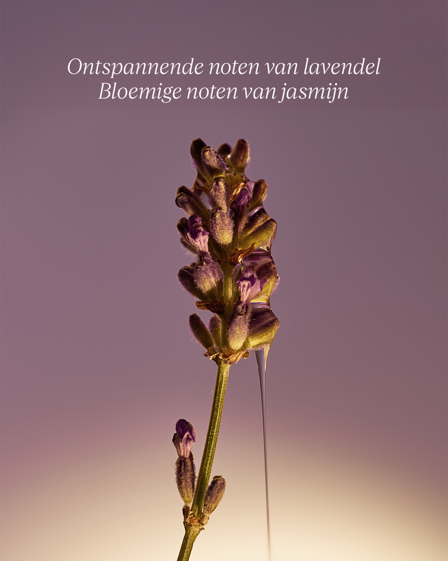 Weergave afbeelding 7/8 van product Lavender Vloeibare Handzeep, , RECT
