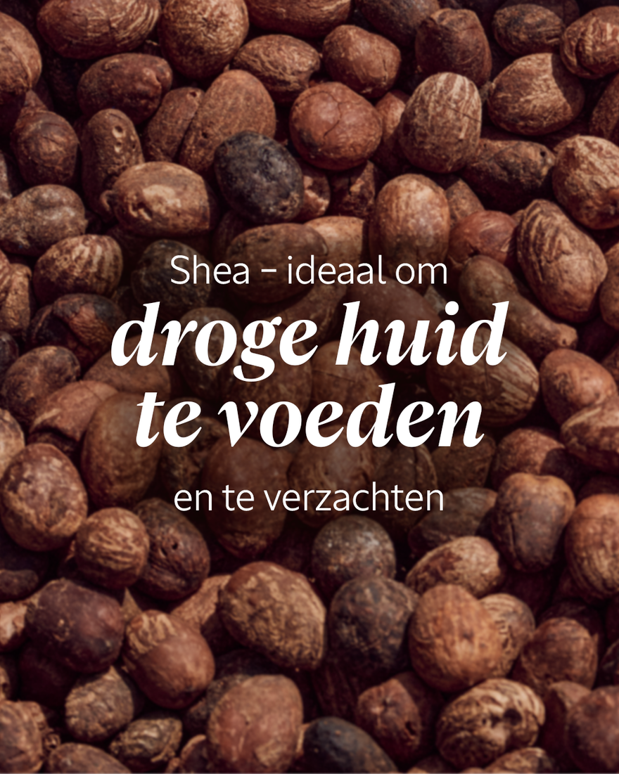 Weergave afbeelding 5/7 van product Shea Intense Handbalsem, , RECT