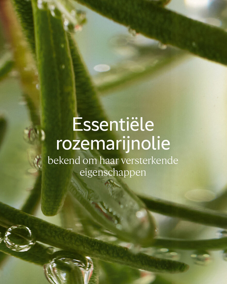 Weergave afbeelding 3/3 van product Aromachology Kracht & Volume Conditioner, , RECT