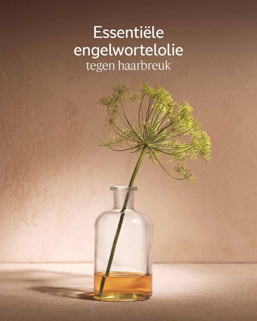 Weergave afbeelding 4/5 van product Aromachology Intens Herstellende Conditioner, , RECT