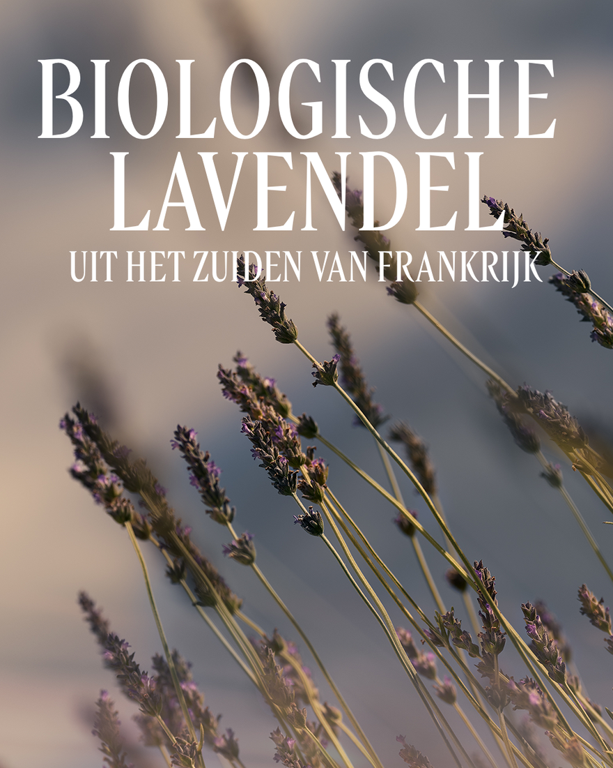 Weergave afbeelding 3/4 van product Lavande Badschuim, , RECT